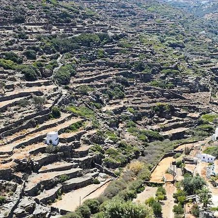 Dom wakacyjny Depasta Cycladic House Aegean Sea View Apollonia